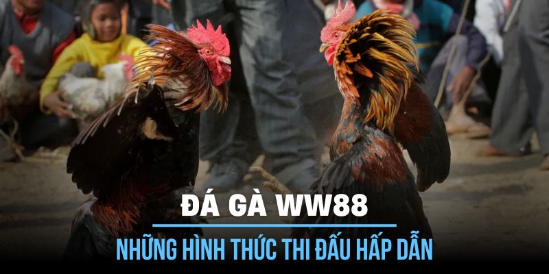 Bất cứ loại hình thi đấu nào cũng có mặt tại đây